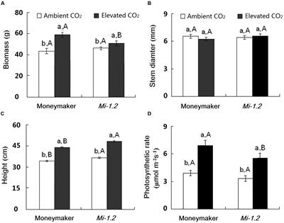 The Contrasting Effects of Elevated CO2 on TYLCV Infection of Tomato Genotypes with and without the Resistance Gene, Mi-1.2